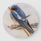 ブルーバード、バーンスワロー、カナダ写真 ラージ壁時計 (正面)