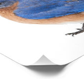 ブルーバード フォトプリント            (角)