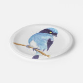 ブルーバード ペーパープレート (アングル)