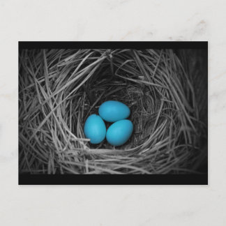 ブルーバード ポストカード