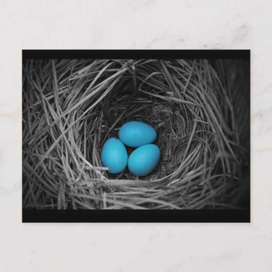 ブルーバード ポストカード (正面)