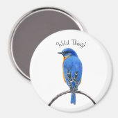 ブルーバード マグネット (正面/裏面)