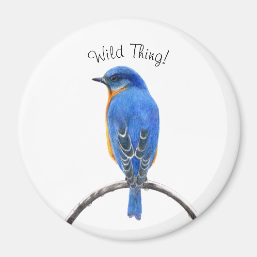 ブルーバード マグネット (正面)