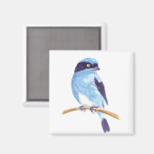 ブルーバード マグネット (正面/裏面)