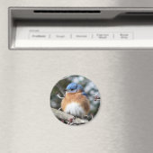 ブルーバード マグネット (インサイチュ (食洗機))