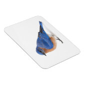 ブルーバード マグネット (右側)