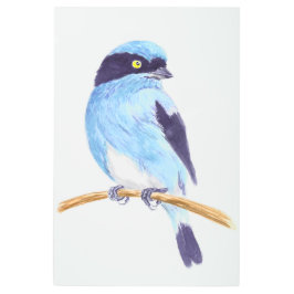 ブルーバード メタルプリント