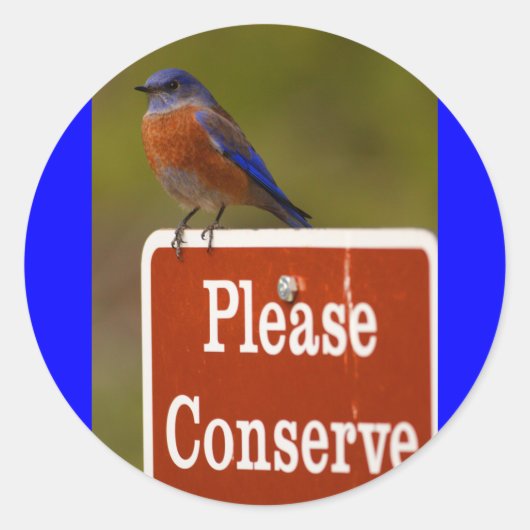 ブルーバード ラウンドシール (正面)