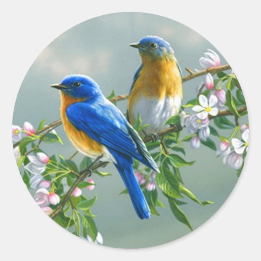 ブルーバード。米国東部ブルーバードシアリアシアリス ラウンドシール (正面)