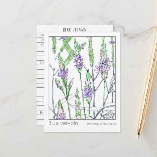 ブルーバーヴェンマテリアメディカハーブ勉強カード ポストカード (正面/裏面インサイチュ)