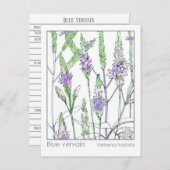 ブルーバーヴェンマテリアメディカハーブ勉強カード ポストカード (正面/裏面)