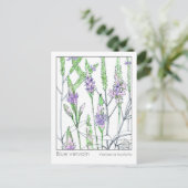 ブルーバーヴェンマテリアメディカハーブ勉強カード ポストカード (スタンド正面)