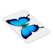 ブルーパピリオUlyssesバタフライプレミアムマグネット マグネット (右側)