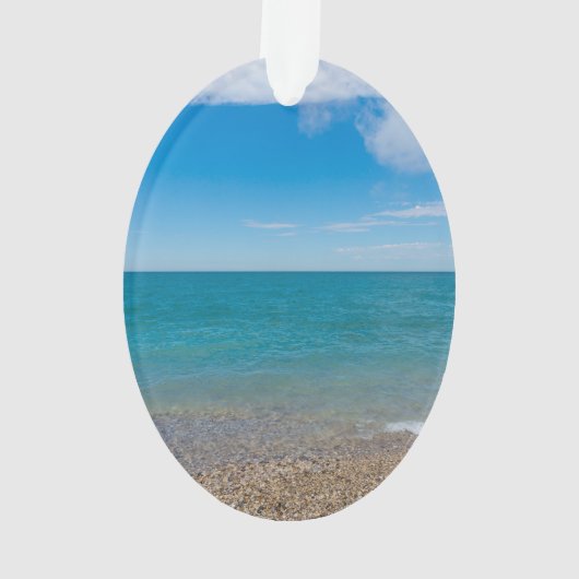 ブルーパラダイスアットレイクミシガン オーナメント (裏面)