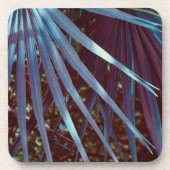 ブルーパルメットドリーム コースター (正面)