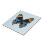 ブルーパンシーバタフライ タイル (側面)