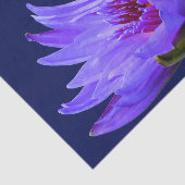 ブルーパープルウォーターリリーティッシュペーパーギフトラップ 薄葉紙 (詳細)