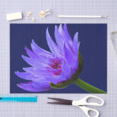 ブルーパープルウォーターリリーティッシュペーパーギフトラップ 薄葉紙 (クラフト)