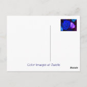 ブルーパープルバラ ポストカード (裏面)