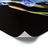 ブルーヒアシントフラワーアートプリントポスター ポスター (角)