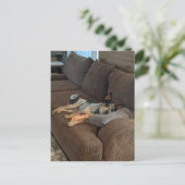 ブルーヒーラーが家にパパ来待ち ポストカード (スタンド正面)