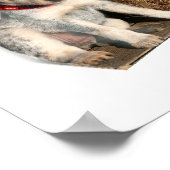 ブルーヒーラーウェスタンデザイン ポスター (角)