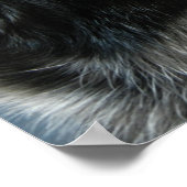 ブルーヒーラーポスター ポスター (角)