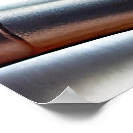 ブルーヒーラー犬が自転車を運転する聖パトリックの日 ポスター (角)