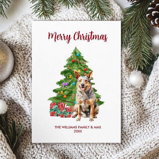 ブルーヒーラー犬の家族のクリスマス シーズンカード
