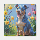 ブルーヒーラー犬の春の花の絵画 マグネット (正面)