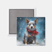 ブルーヒーラー犬の雪のクリスマス マグネット (正面/裏面)