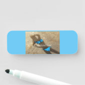 ブルービキニビーチサンドサンダー_コーブ 名札 (インサイチュ)