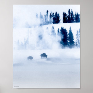 ブルービソン ポスター