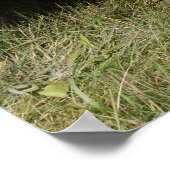 ブルービンテージカーフロントプリント ポスター (角)