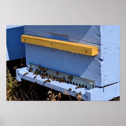 ブルービーハイブ ポスター (正面)