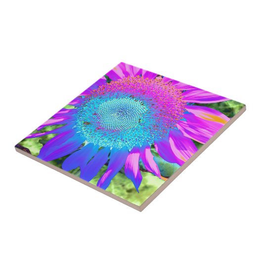 ブルーピンクのファンキーレトロなヒマワリの写真 タイル (側面)