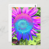 ブルーピンクのファンキーレトロなヒマワリの写真 ポストカード (正面/裏面)