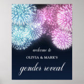 ブルーピンクの花火のジェンダーが歓迎を明らかにする ポスター (正面)