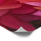 ブルーピーコックインピンクハートバラガーデン ポスター (角)