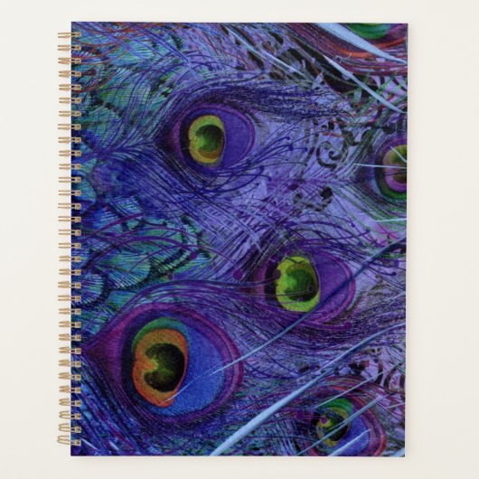 ブルーピーコックフェザープランナー プランナー手帳 (正面)