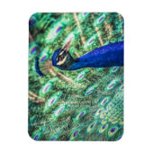 ブルーピーコックマグネットの輝き マグネット (縦)