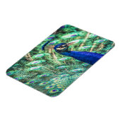 ブルーピーコックマグネットの輝き マグネット (左側)