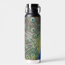 ブルーピーコック羽毛プラメージ