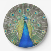 ブルーピーコック羽毛プラメージ ペーパープレート (正面)