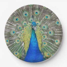 ブルーピーコック羽毛プラメージ ペーパープレート