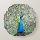 ブルーピーコック羽毛プラメージ ラウンドクッション (正面)