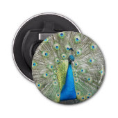 ブルーピーコック羽毛プラメージ 栓抜き (正面)