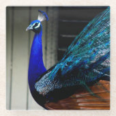 ブルーピーコック ガラスコースター (正面)