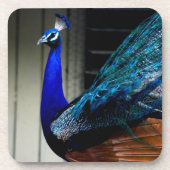 ブルーピーコック コースター (正面)