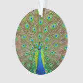 ブルーピーコック#3オーナメント オーナメント (正面)